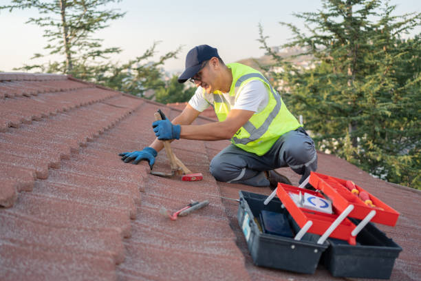 Best Flat Roof Repair Services  in Lyons, CO