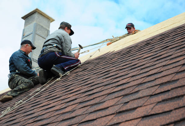 Best Gutter Installation and Roofing  in Lyons, CO