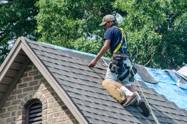 Professional Roofing Contractor in Lyons, CO